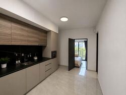 Parc Clematis (D5), Apartment #579170721